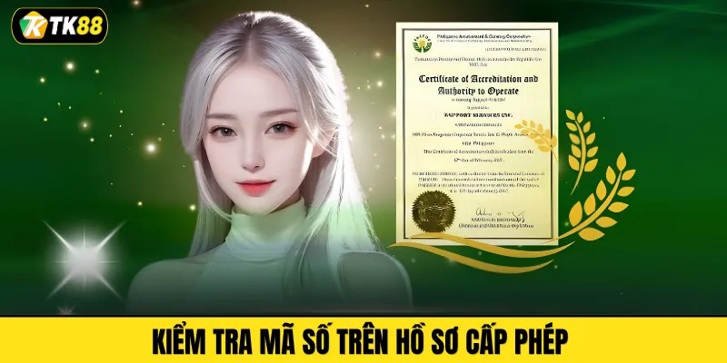 Kiểm tra mã số trên hồ sơ cấp phép